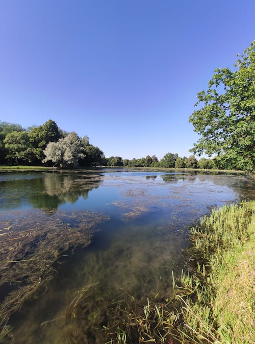 Darmowe zdjęcie z galerii z jezioro, las, natura