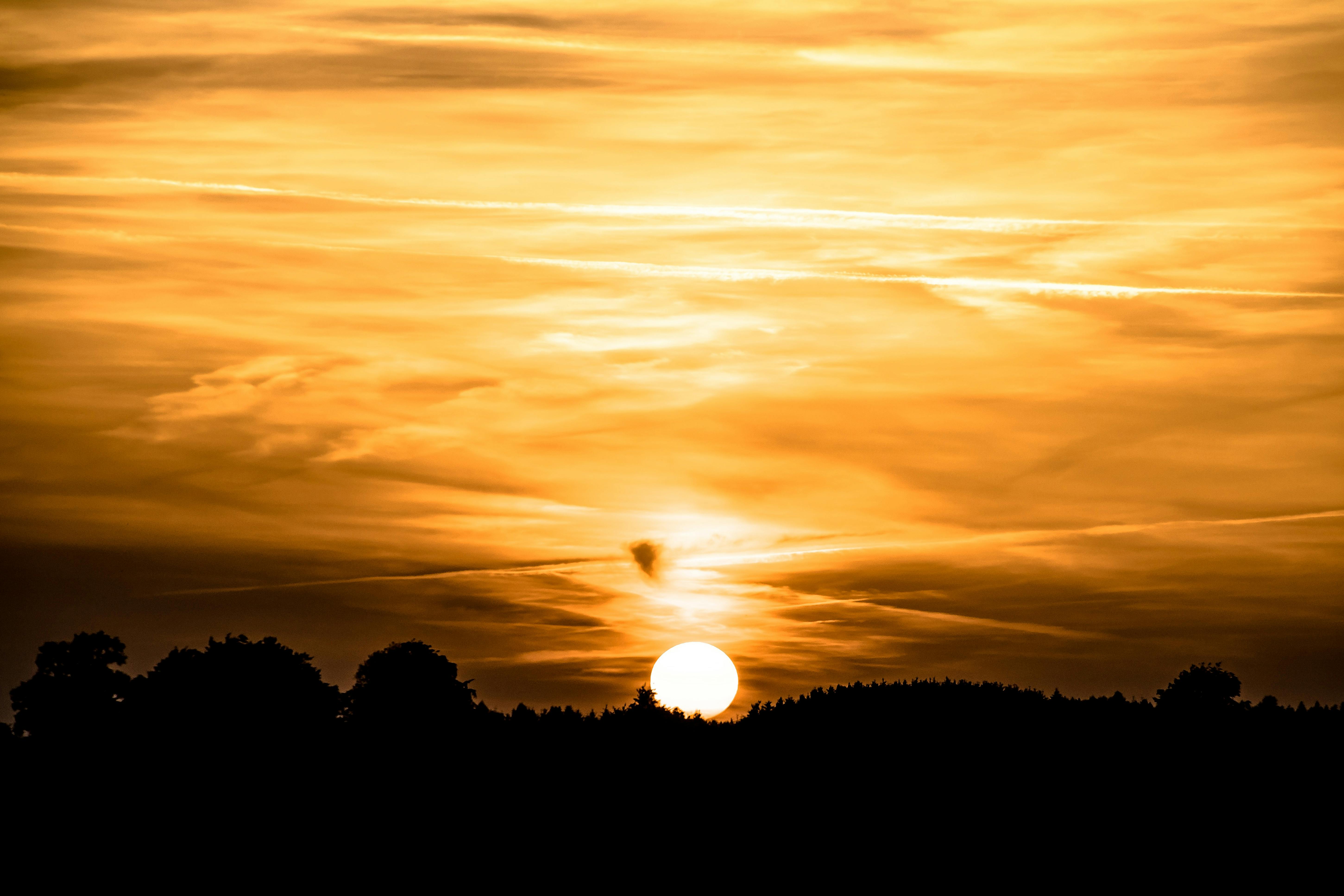 Evening Sun Photos, Download The BEST Free Evening Sun Stock Photos & HD  Images
