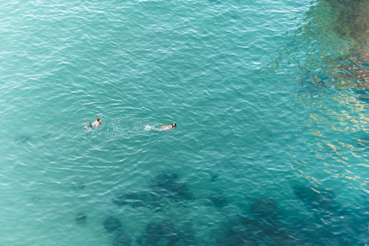 A Couple Swimming In A Body Of Water