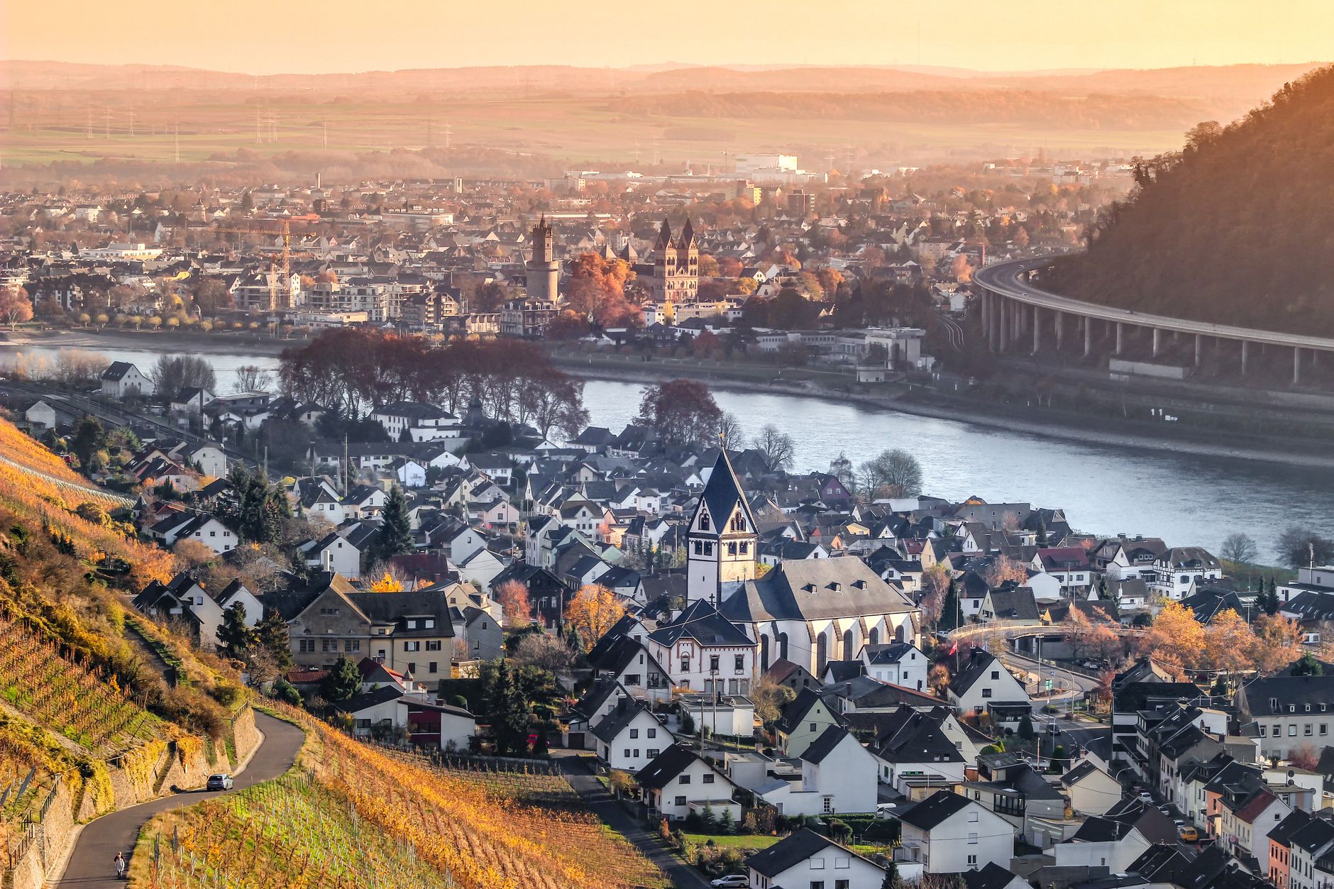 Welke wijnstreek in Duitsland past bij jou? Een eerlijke vergelijking
