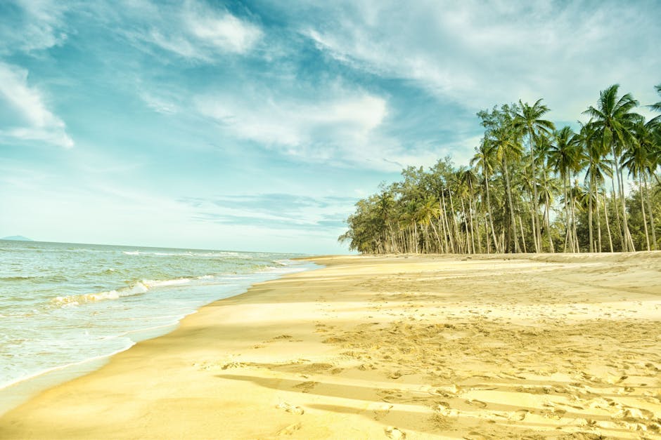 Palm Trees Near Beach Shore