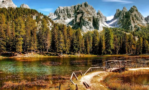 Wooden Bridge Near Body of Water