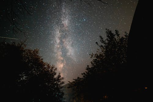 ağaçlar, astronomi, galaksi içeren Ücretsiz stok fotoğraf