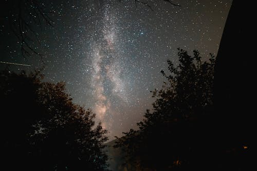 Imagine de stoc gratuită din arbori, astrofotografie, astronomie