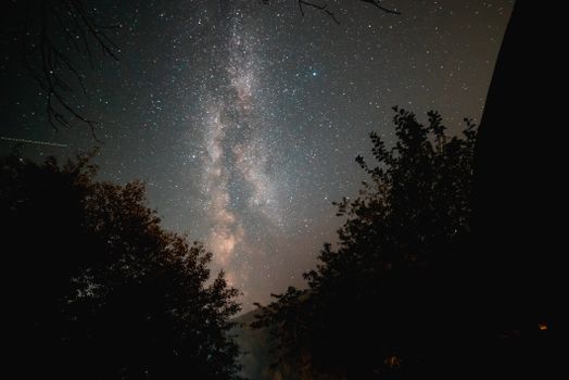 在清澈的夜空下，树木的轮廓勾勒出令人惊叹的银河系景观