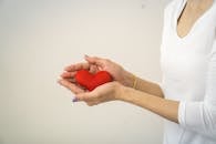 Heart Shape Object on Person's Hands