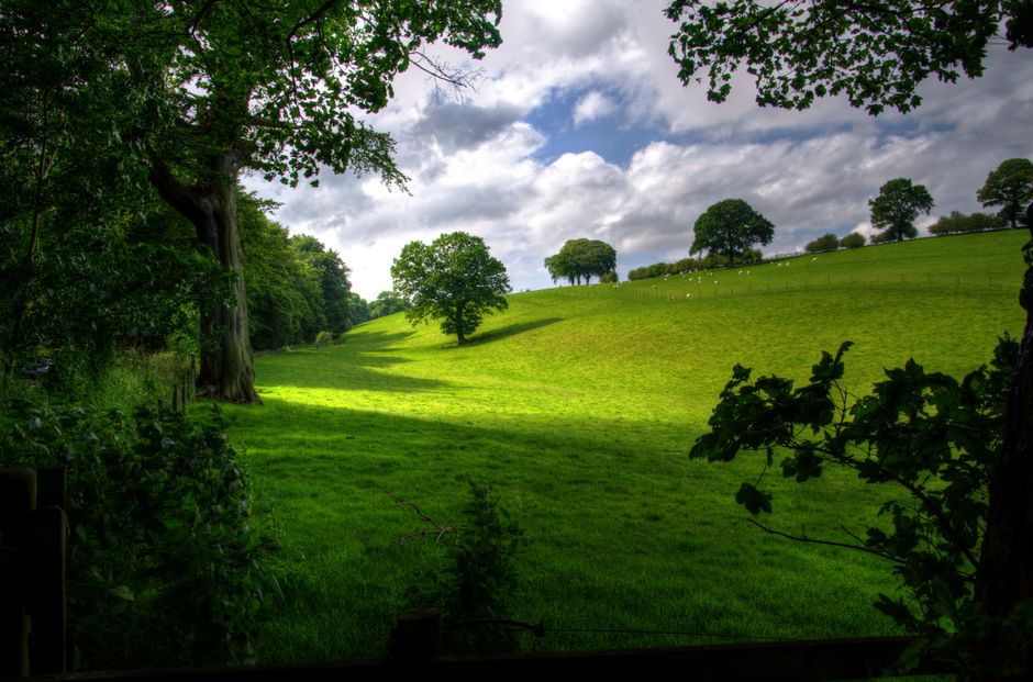 Vibrant green landscape featuring rolling hills, trees, and scattered clouds in a serene rural setting.