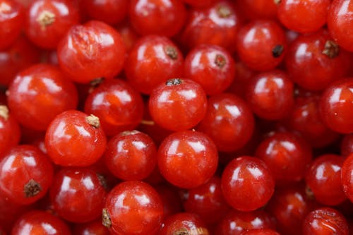 赤い丸い小さな果物