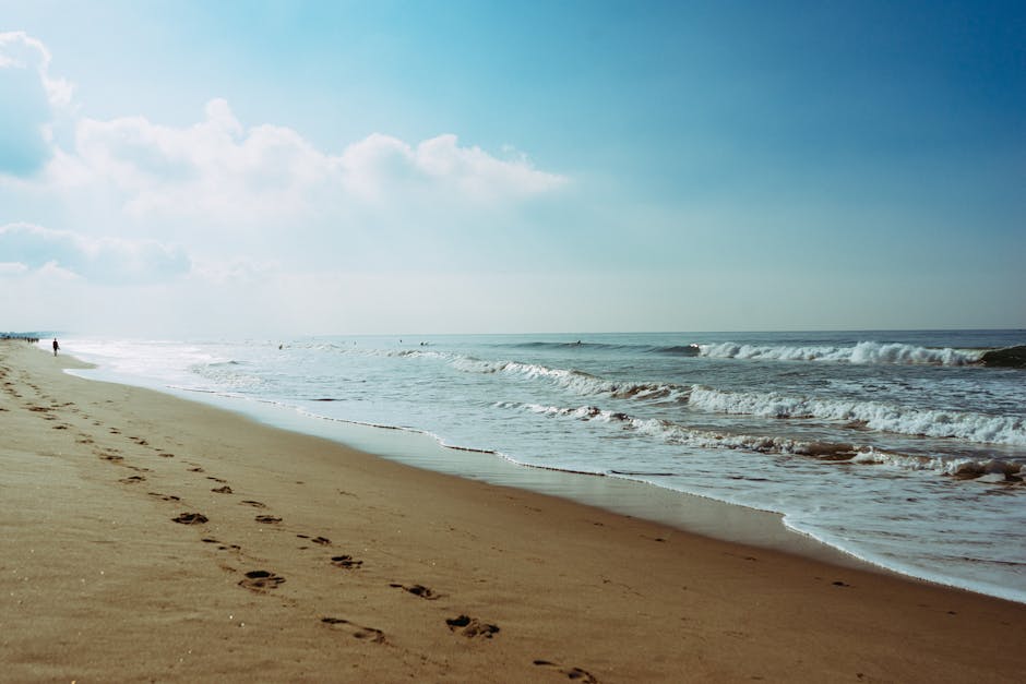 beach, footprint, salt water