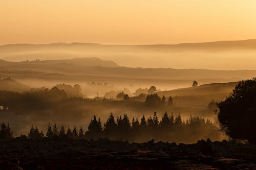 Silhouette of Tree Background of Mountain View