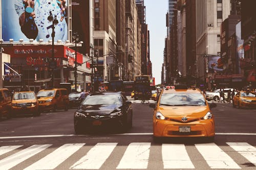 Two Vehicles on Road