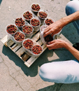 Selling Fruits on Tubs on the Street