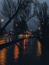 夜晚，城市柏油路旁，光秃秃的树木和手电筒的光之间，一条湿漉漉的人行道显得格外孤寂