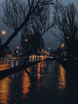 Wet lonely sidewalk between leafless trees and flashlights near asphalt city road at night