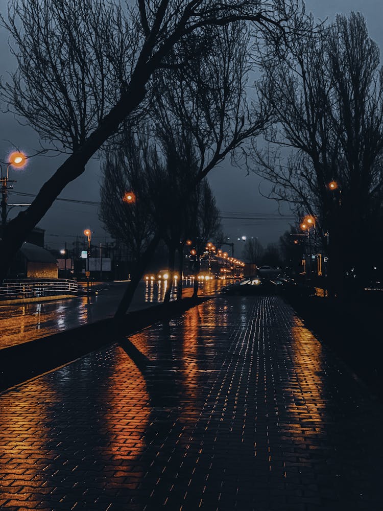 Empty Alley Of City At Night