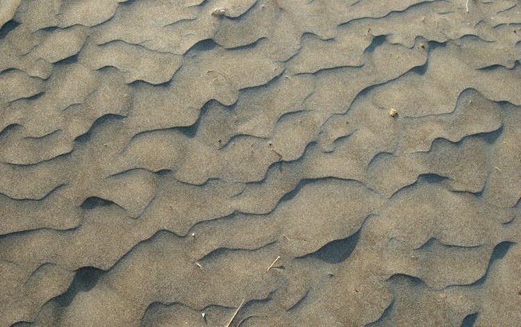 Patterns Of The Sand Ripples On The Shore