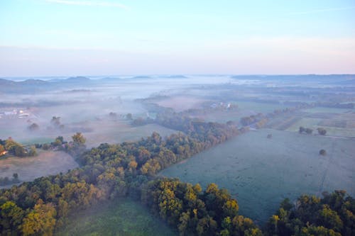 Aerial View of Green Trees during Daytime