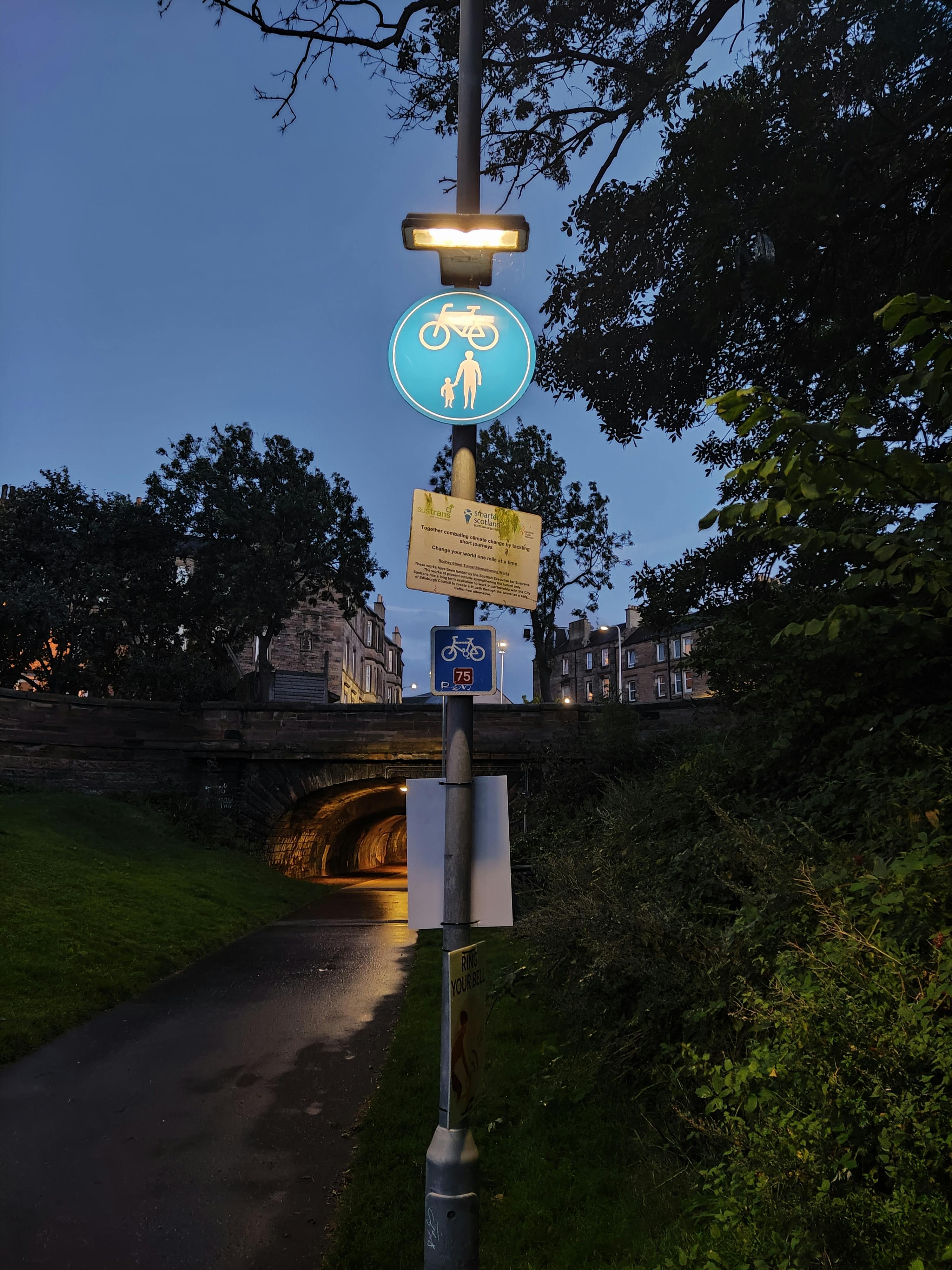 Auckland city skyline