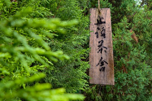 A Hanging Wooden Signboard