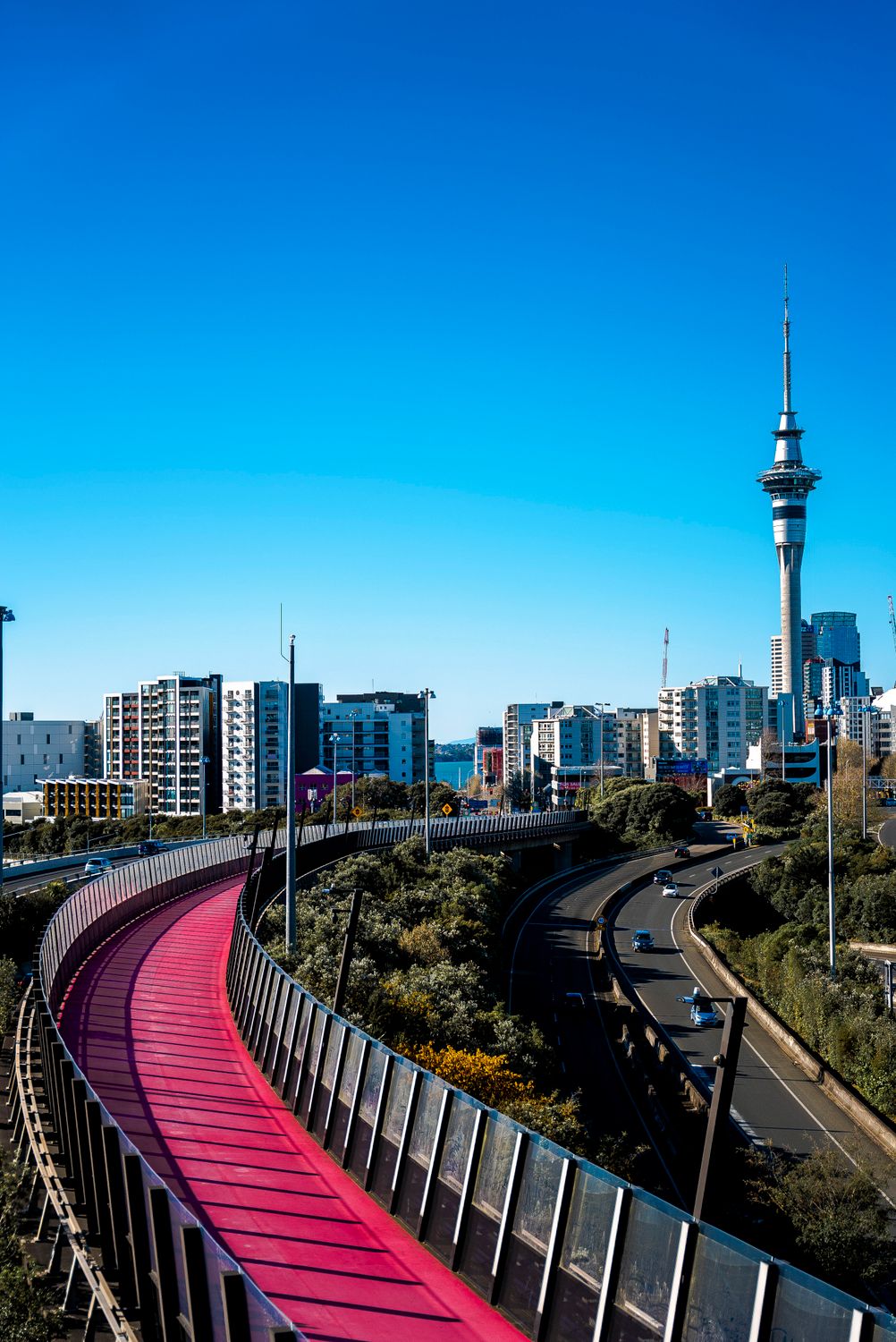 The Pink Lightpath of Auckland, New Zealand · Free Stock Photo