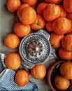 A Citrus Reamer Surrounded by Oranges
