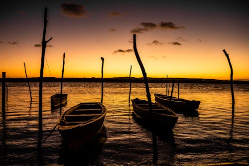 Foto profissional grátis de ancorado, barcos, crepúsculo