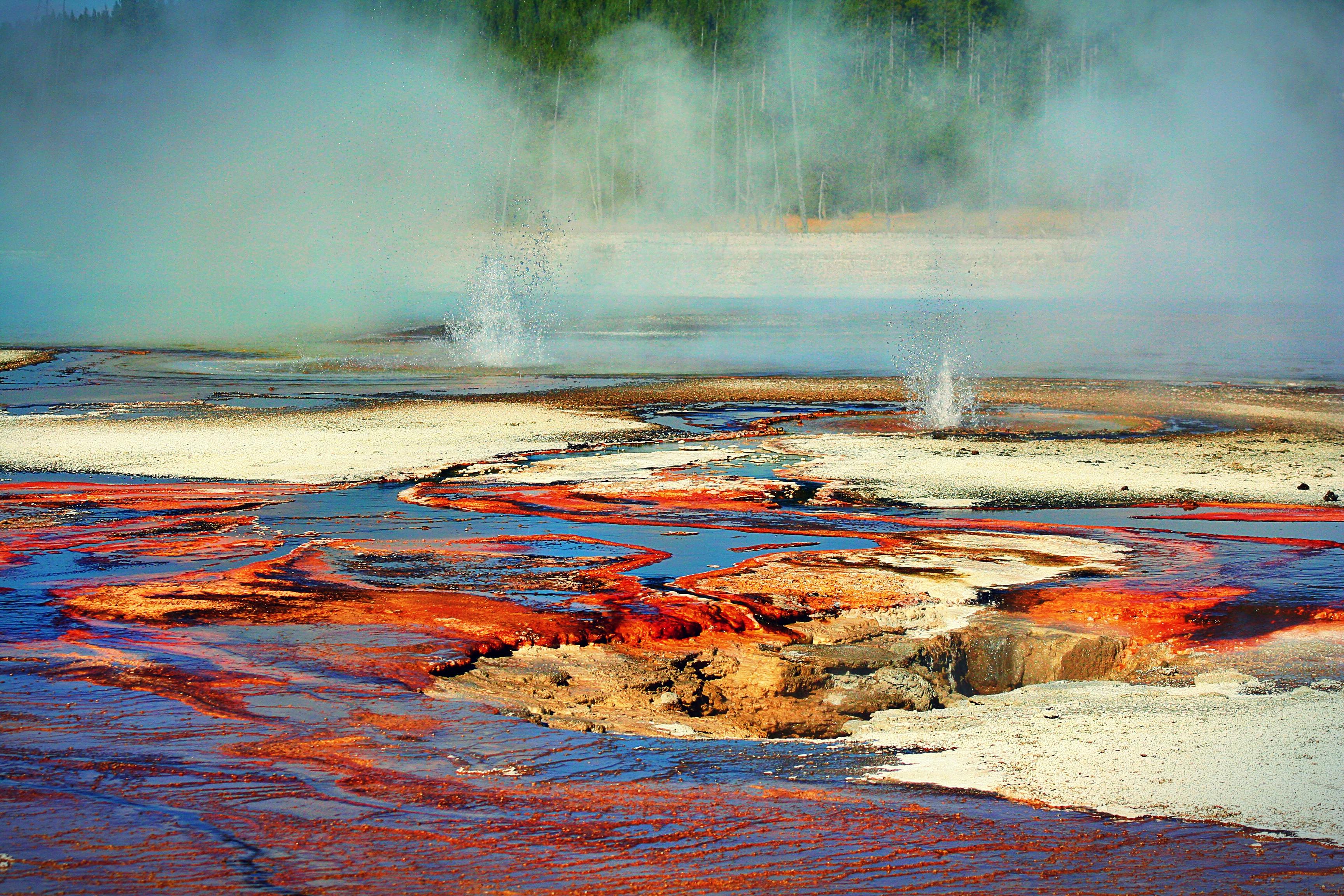 Foto De Stock Gratuita Sobre Geiser Parque Nacional De Yellowstone Piscinas Calientes