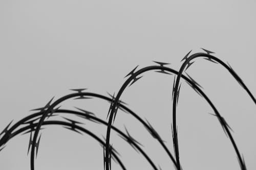 Close up of Barbed Wire