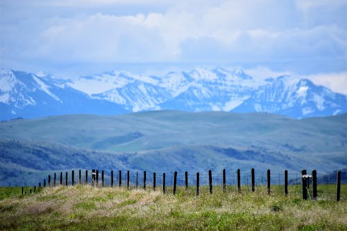 Δωρεάν στοκ φωτογραφιών με Montana, βουνό, γρασίδι