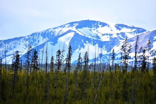 山, 白雪皚皚, 藍色 的 免费素材图片