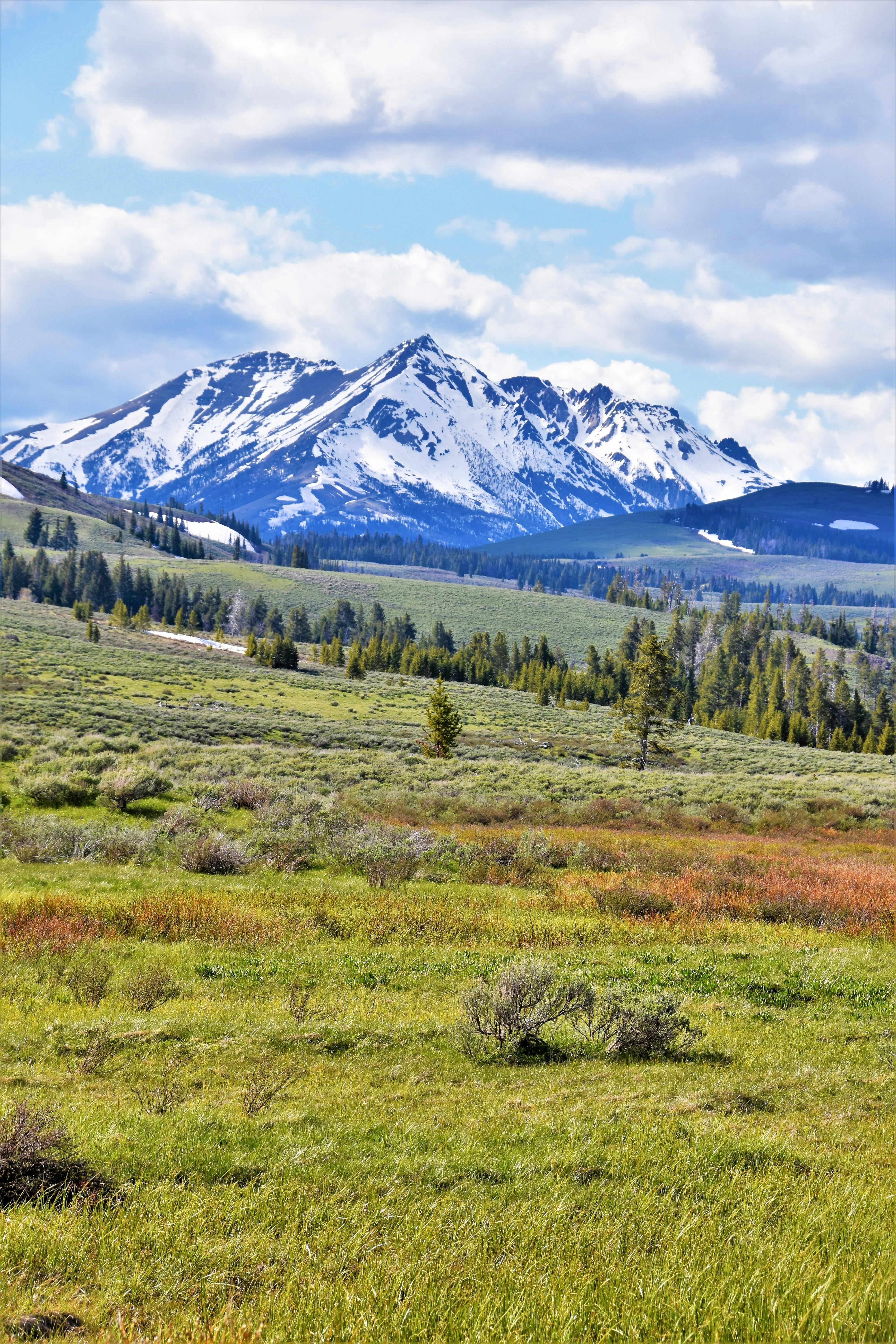 Free stock photo of mountain, sagebrush, yellowstone national park