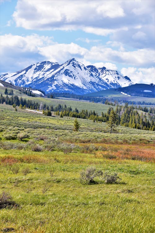Free stock photo of mountain, sagebrush, yellowstone national park
