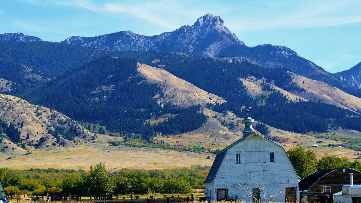 White barn in open Montana countryside with mountains on the horizon