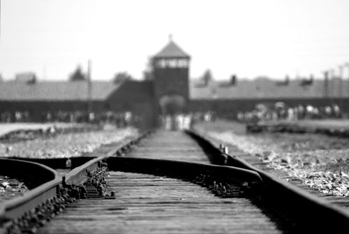Free Black and white image of Auschwitz Birkenau railway tracks, symbolizing WWII history. Stock Photo