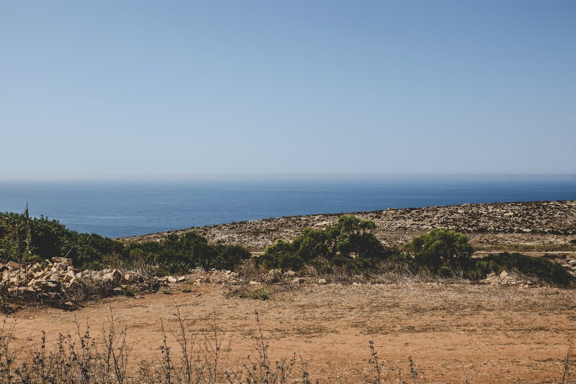 Free stock photo of coast, malta, nature