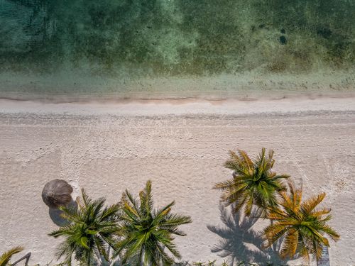 Free A stunning aerial shot of Cancun's shoreline with vibrant palm trees and clear waters. Stock Photo