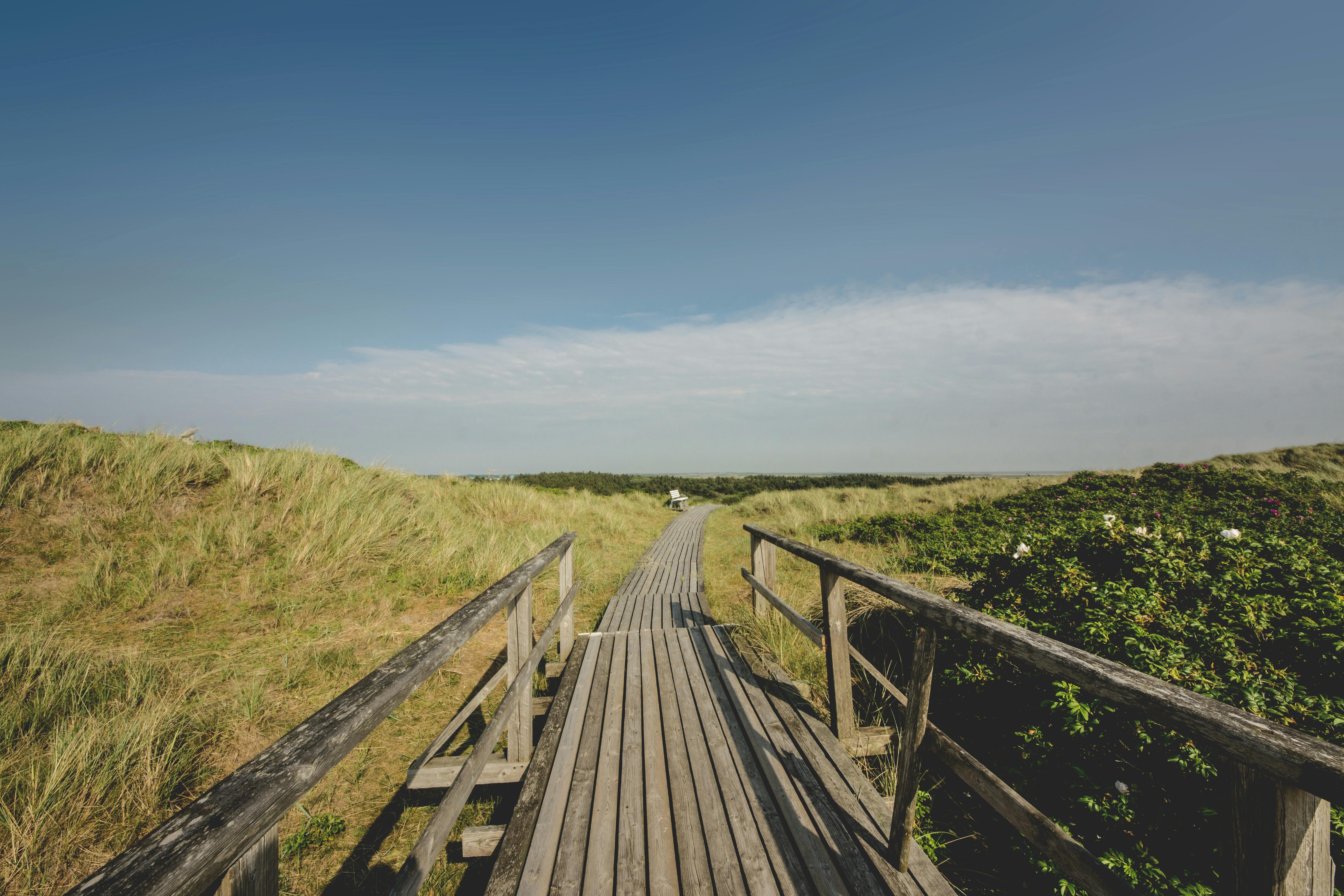 在明亮的蓝天下，探索德国锡尔特郁郁葱葱沙丘中宁静的木制步道