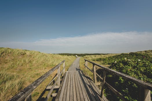 在明亮的蓝天下，探索德国锡尔特郁郁葱葱沙丘中宁静的木制步道