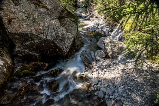 From above long exposure of fast narrow creek flowing among rough boulders in sunny nature with lush green coniferous plants