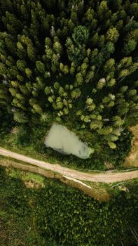 Aerial view showcasing dense forest surrounding a small pond, highlighting the beauty of nature.
