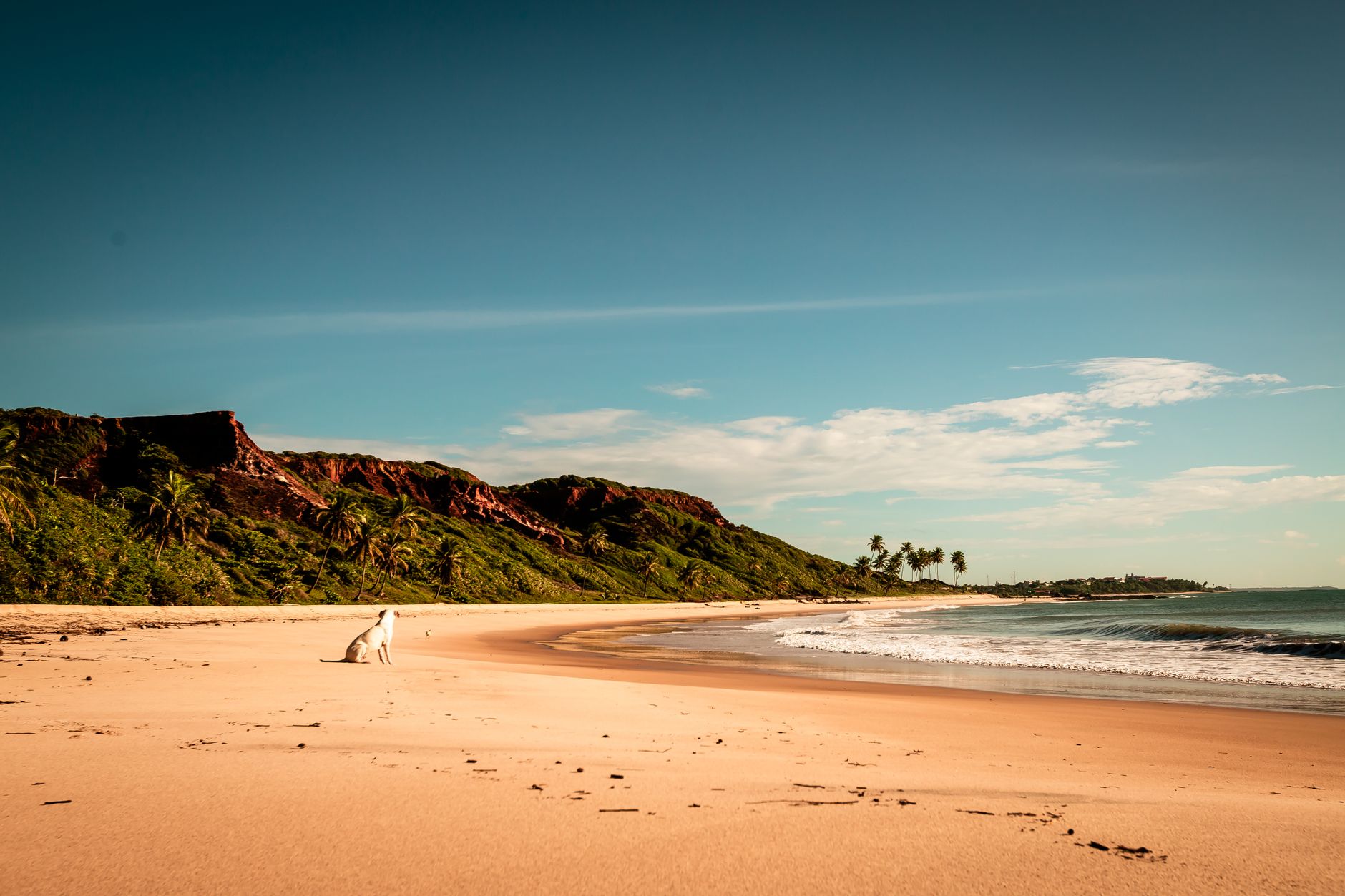 22 people died on Portuguese beaches between May and August