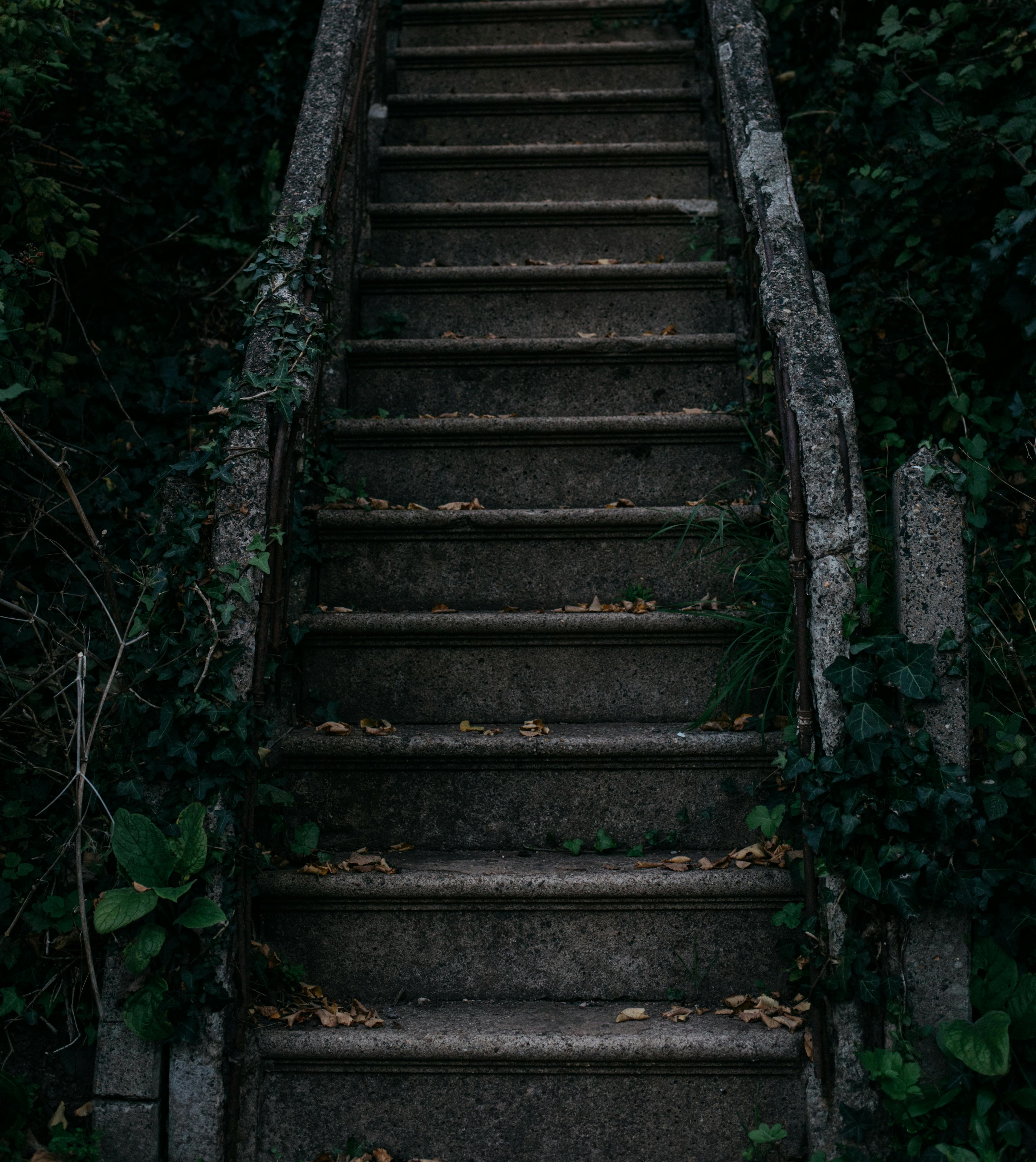 A Gray Concrete Stairs · Free Stock Photo