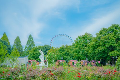 Free stock photo of amusement park, ferris wheel, flower