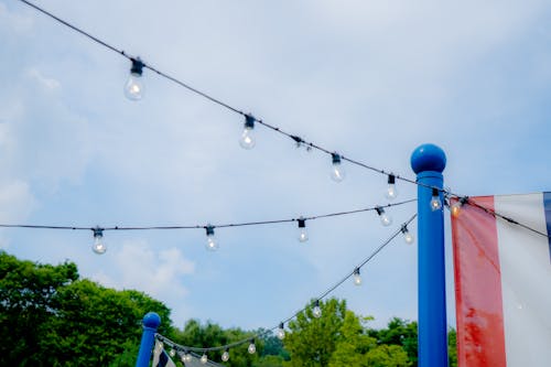 Free stock photo of blue, columns, fairy lights