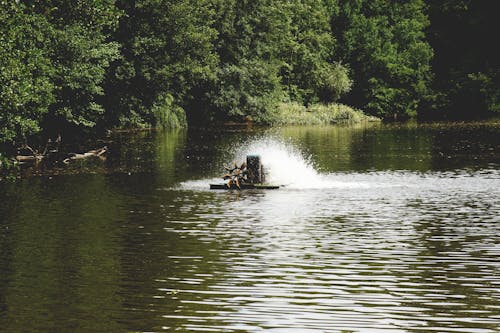 물, 바퀴, 자연의 무료 스톡 사진