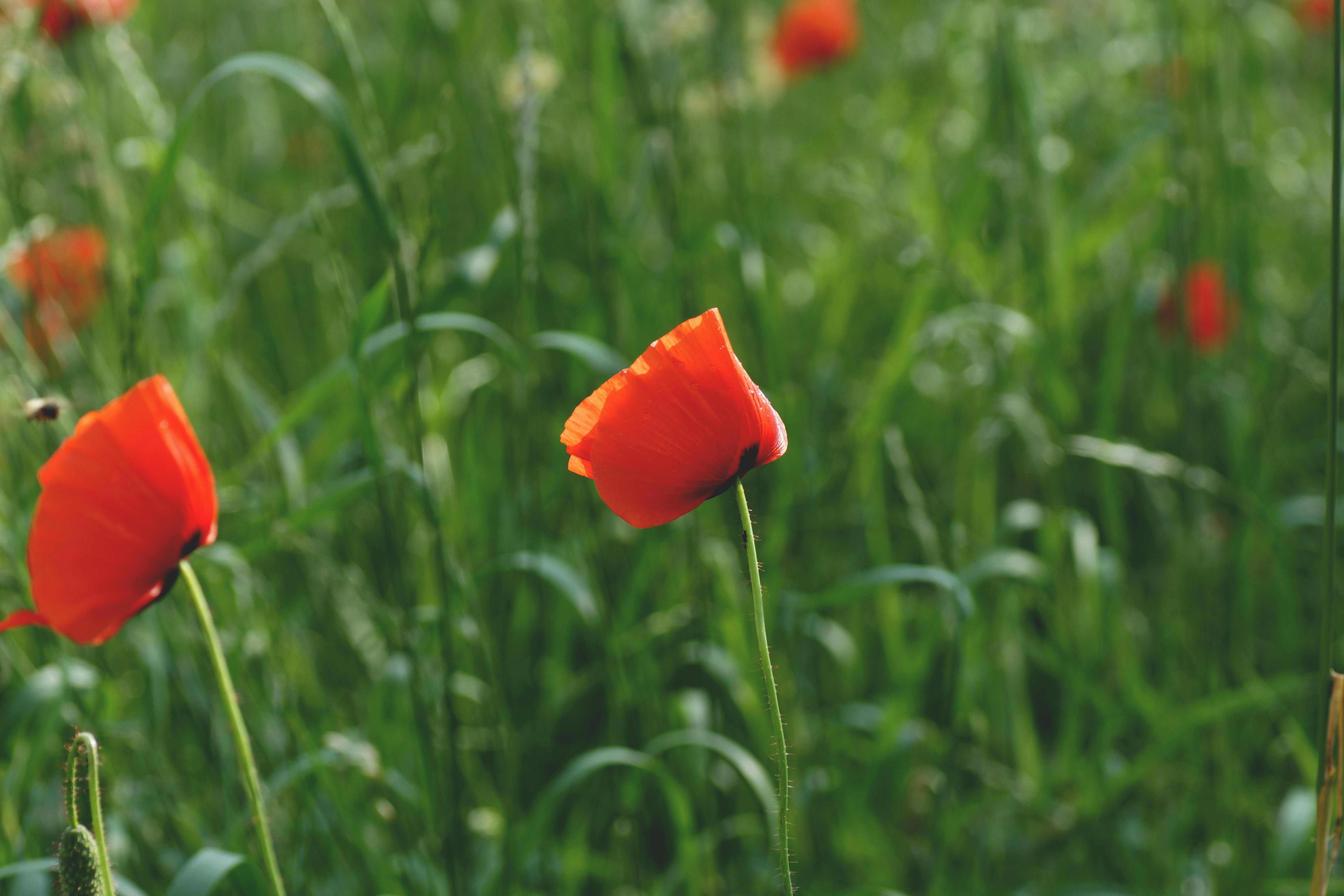 অপব্যবহার ও এর সামাজিক প্রভাব