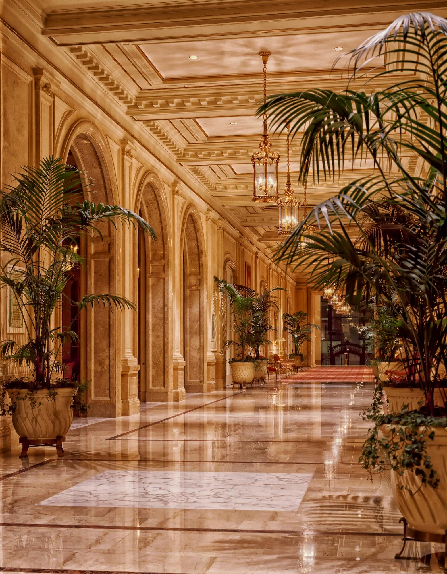 Palace Interior Photos, Download The BEST Free Palace Interior Stock Photos  & HD Images