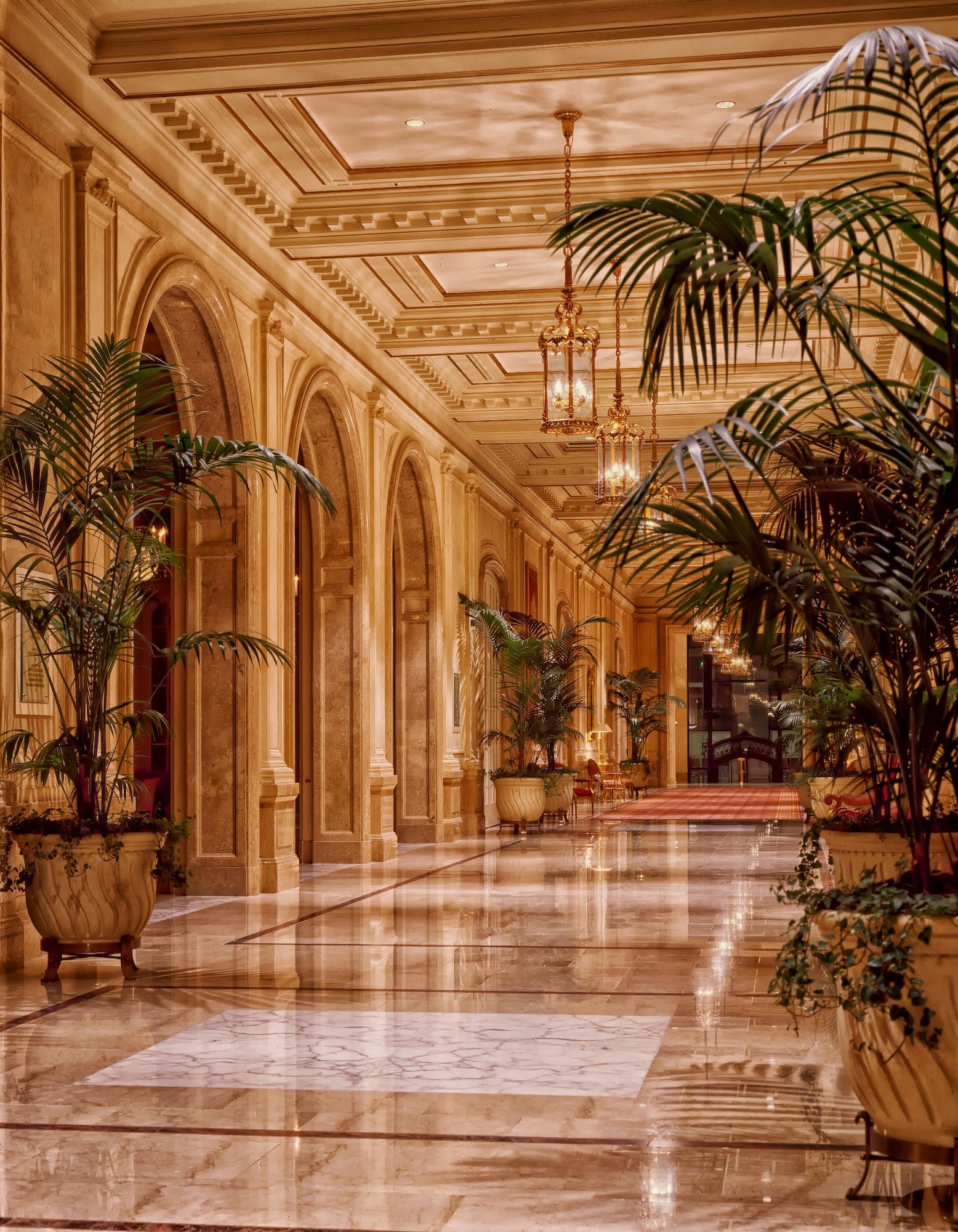 Luxury Hotels