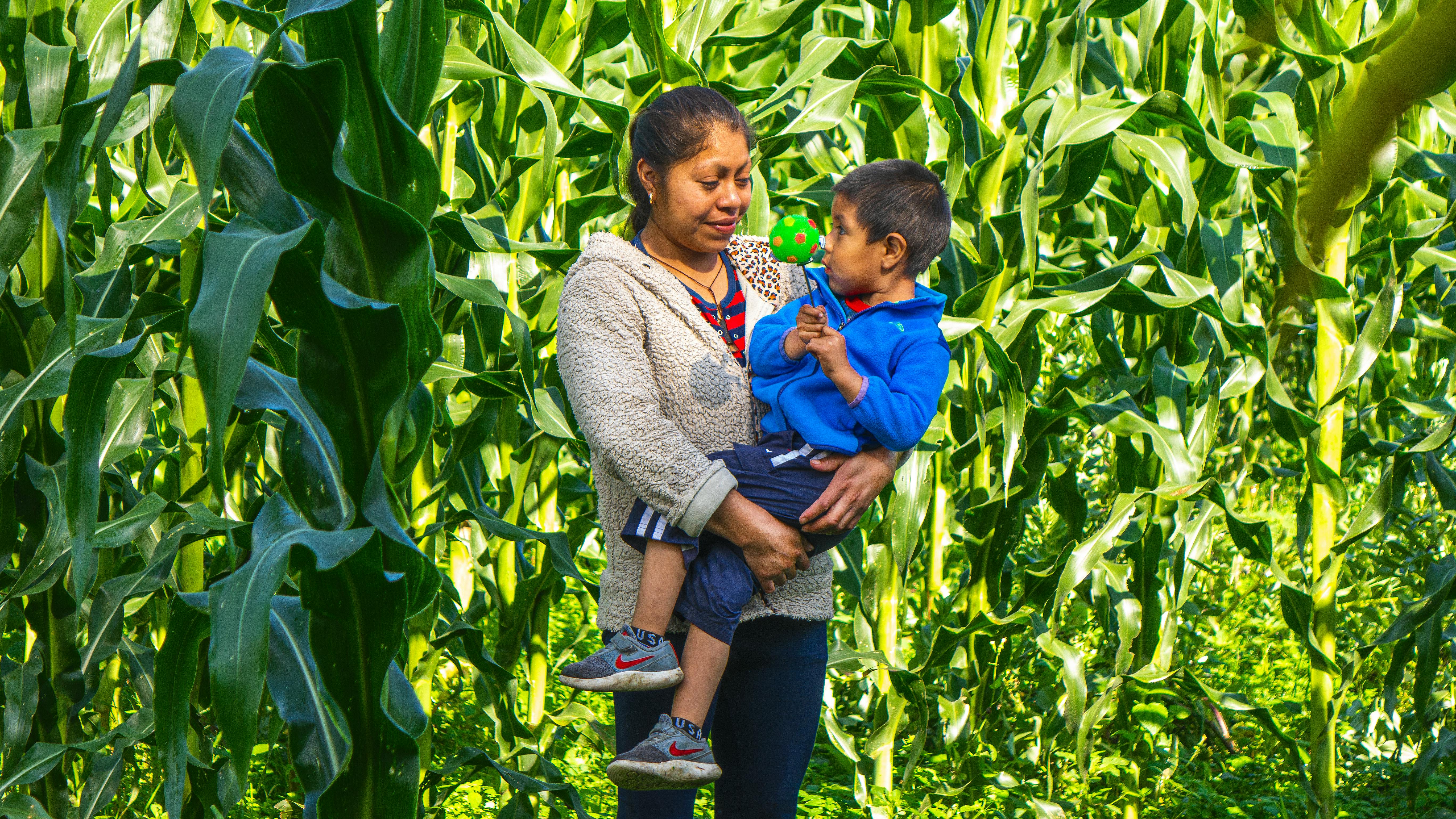 A woman carrying her child in a vibrant cornfield, capturing a moment of familial bond in Mexico.