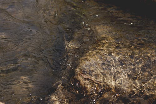 doğa, Kaya, Su içeren Ücretsiz stok fotoğraf